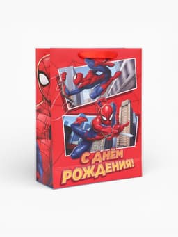 Пакет подарочный «С днём рождения!», 31×40×11.5 см