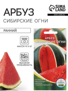 Семена Арбуз «Сибирские огни», 10 шт., «Агрэкс»