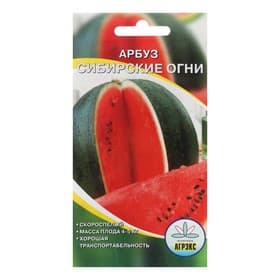 Семена Арбуз «Сибирские огни», 10 шт., «Агрэкс»