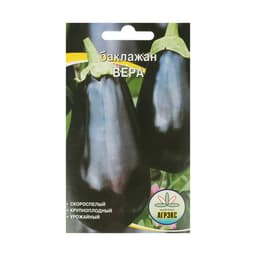 Семена Баклажан «Вера», 20 шт., скороспелый, «Агрэкс»