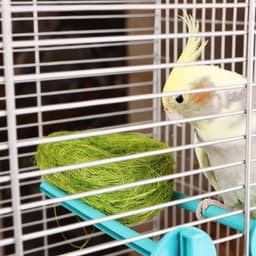 Гнездо, 10 см, крашеная солома, МИКС