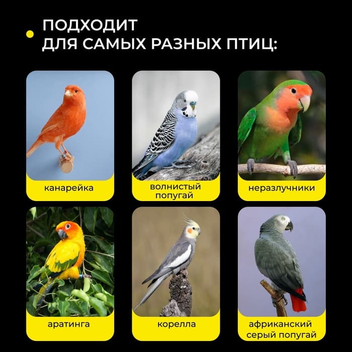 Кормушка для птиц, 6.7×6.2×8 см, внешняя, пластик, прозрачная