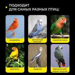 Кормушка для птиц, 6.7×6.2×8 см, внешняя, пластик, прозрачная