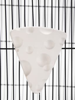 Минеральный камень для грызунов «Пижон», сыр, 50 г