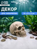 Декор для аквариума «Череп», 10×8×9 см