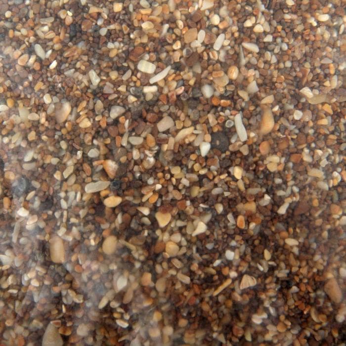 Минеральная подкормка для птиц «Ракушка», п/э пакет, 1 кг