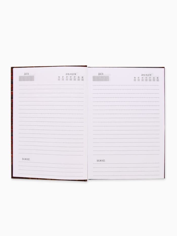 Ежедневник А5, 160 листов, в твердой обложке «Каждый день»