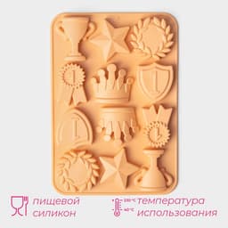 Форма для шоколада Доляна «Чемпион», силикон, 12 ячеек, 24×16×2 см, персиковая