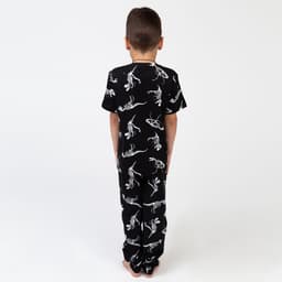Пижама детская для мальчика KAFTAN «Динозавры», рост 110-116 см (32)
