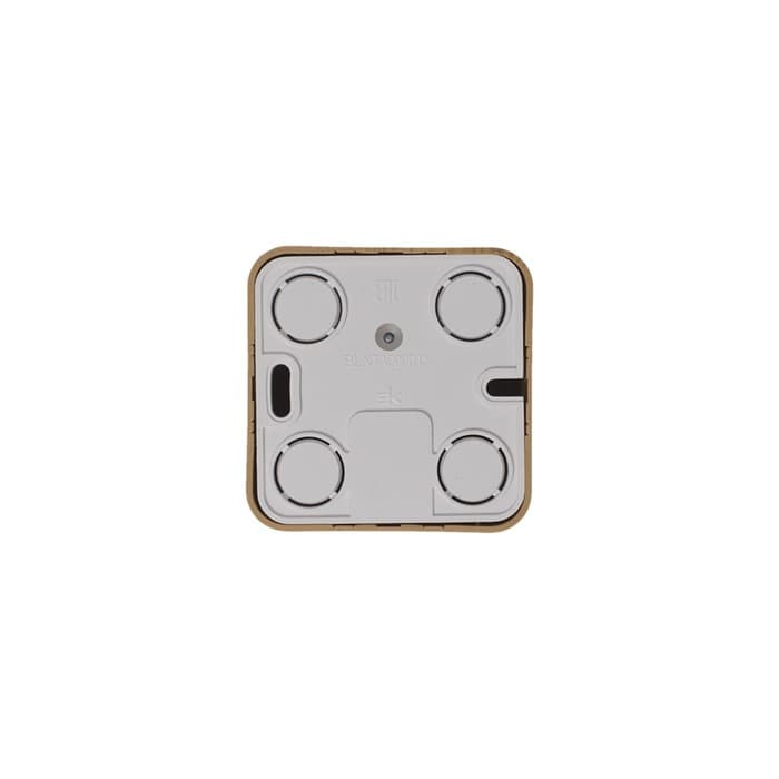 Розетка ТВ SE Blanca, накладная, IP20, 1 дБ, цвет ясень, BLNTA000015