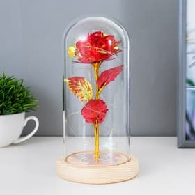 Фигурка светящаяся колба RISALUX «Красный цветок», LED-ночник, от батареек 3ААА, 11×11×21.5 см