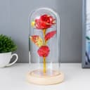 Фигурка светящаяся колба RISALUX «Красный цветок», LED-ночник, от батареек 3ААА, 11×11×21.5 см