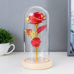 Фигурка светящаяся колба RISALUX «Красный цветок», LED-ночник, от батареек 3ААА, 11×11×21.5 см