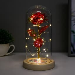 Фигурка светящаяся колба RISALUX «Красный цветок», LED-ночник, от батареек 3ААА, 11×11×21.5 см