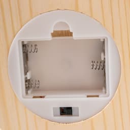 Фигурка светящаяся колба RISALUX «Красный цветок», LED-ночник, от батареек 3ААА, 11×11×21.5 см