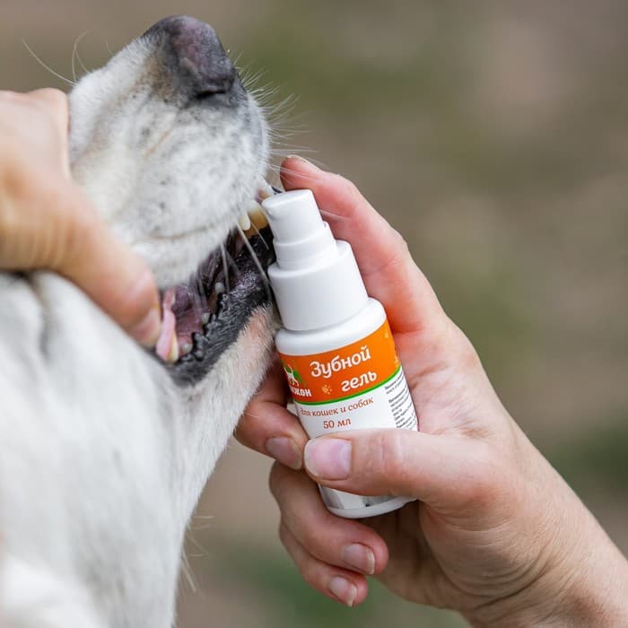 Зубной гель для кошек и собак «Пижон», 50 мл, ферменты и прополис