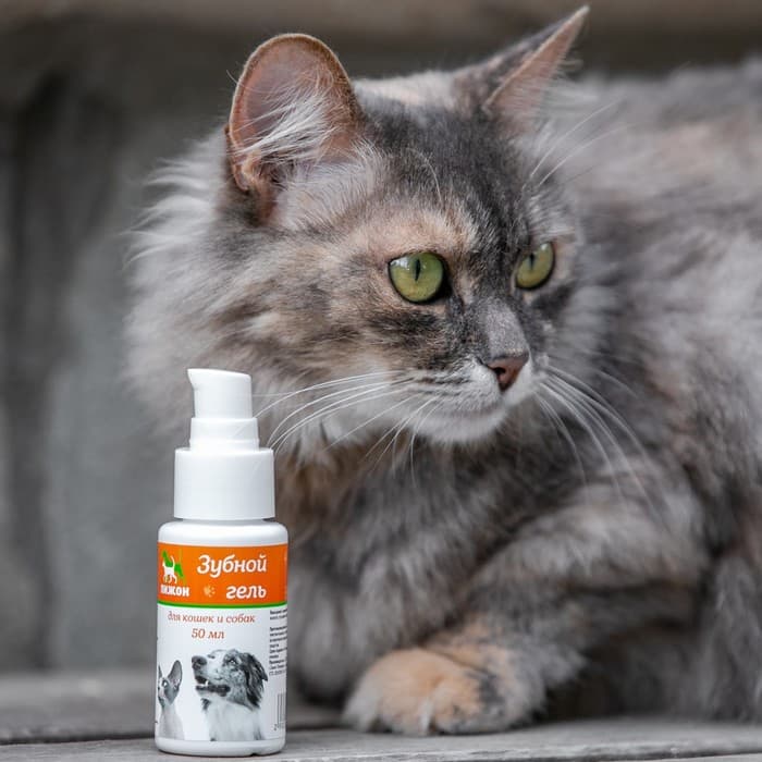 Зубной гель для кошек и собак «Пижон», 50 мл, ферменты и прополис
