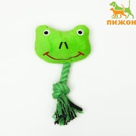 Мягкая игрушка для собак «Лягушка с канатом», 18 см, с пищалкой, зелёная