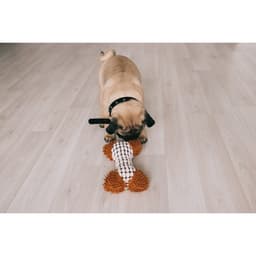 Игрушка мягкая для собак «Особая кость», 20×12 см, с пищалкой, двутканевая, белая, коричневая
