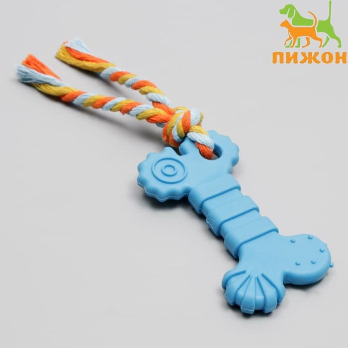 Игрушка жевательная с канатом «Кость с хвостом», синяя
