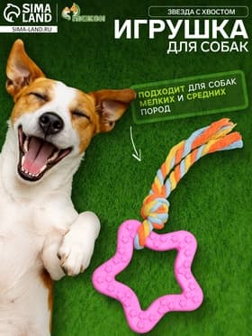 Игрушка жевательная с канатом «Звезда с хвостом», розовая