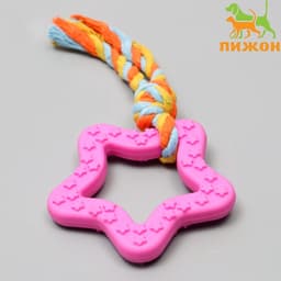 Игрушка жевательная с канатом «Звезда с хвостом», розовая
