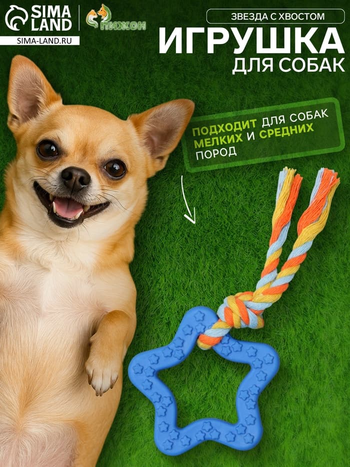 Игрушка жевательная с канатом «Звезда с хвостом», синяя