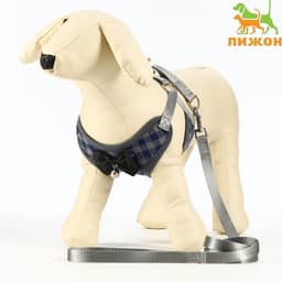 Шлейка с поводком, S, ОШ 20-40 см, ОГ 30-44 см, поводок 120×1 см, серая