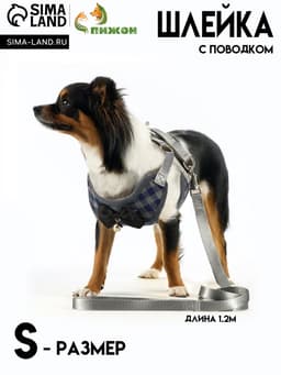 Шлейка с поводком, S, ОШ 20-40 см, ОГ 30-44 см, поводок 120×1 см, серая