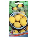 Семена дыня «Апельсинка», 10 шт.