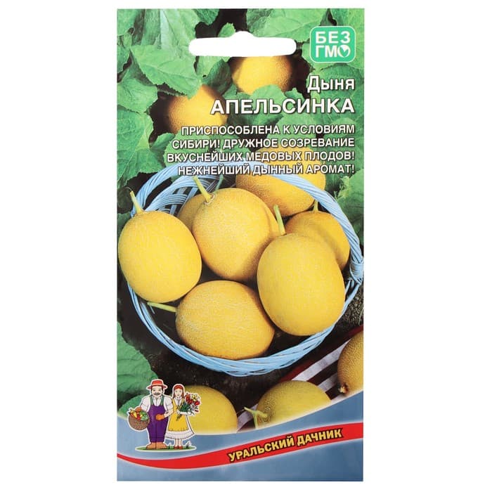 Семена дыня «Апельсинка», 10 шт.