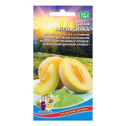 Семена дыня «Апельсинка», 10 шт.