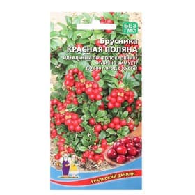 Семена Брусника «Красная поляна», 20 шт., «Уральский дачник»