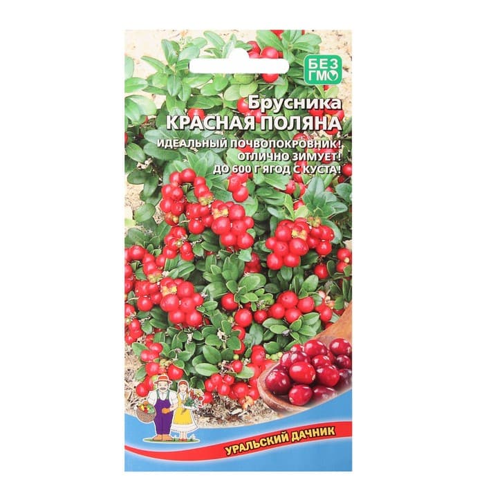 Семена Брусника «Красная поляна», 20 шт., «Уральский дачник»