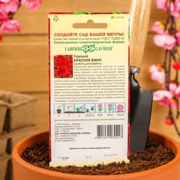 Семена цветов Годеция махровая "Красное вино", ц/п, 0,05 г