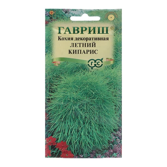 Семена цветов Кохия веничная «Летний кипарис», декоративная, 0.3 г