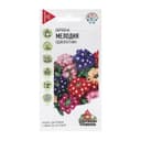 Семена цветов Вербена гибридная «Мелодия», смесь, 0.05 г, однолетник, «Удачные семена»