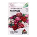 Семена цветов Гвоздика «Монпансье», 0.1 г