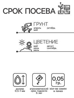 Семена цветов Обриета «Кемпбелл» крупноцветковая, 0.05 г