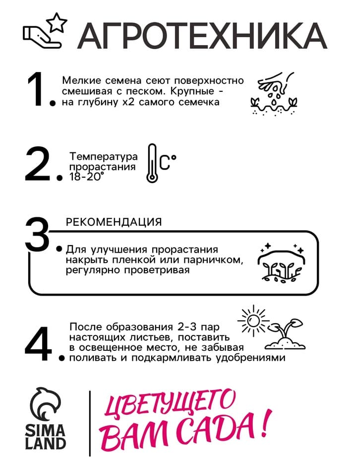 Семена цветов Обриета «Кемпбелл» крупноцветковая, 0.05 г