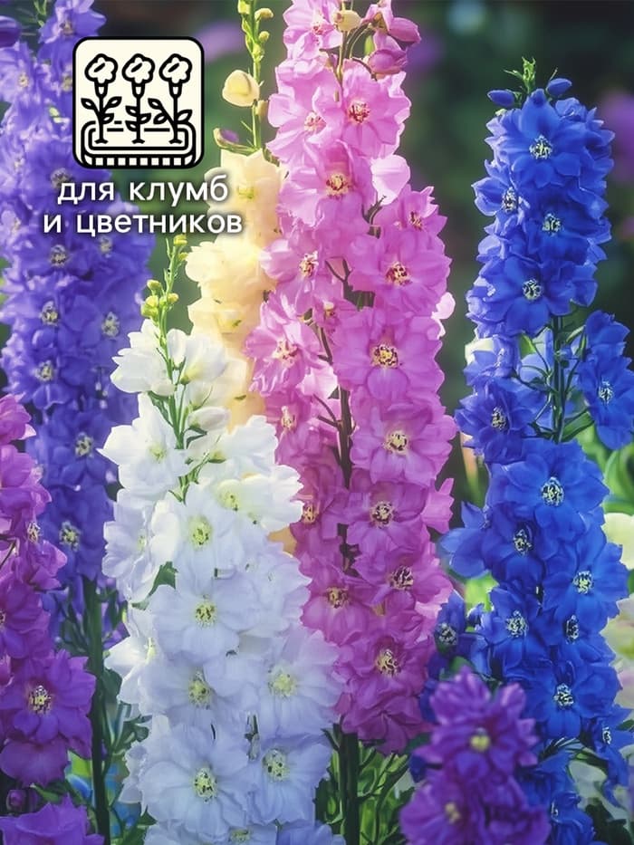 Семена цветов Дельфиниум "Океан страстей", ц/п, смесь, 0,05 г