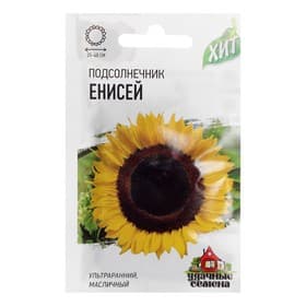 Семена цветов Подсолнечник «Енисей», ХИТ, 5 г