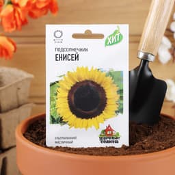 Семена цветов Подсолнечник «Енисей», ХИТ, 5 г