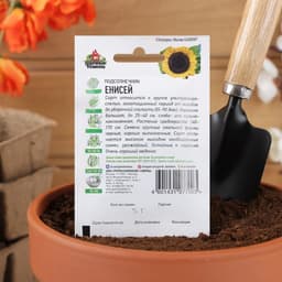 Семена цветов Подсолнечник «Енисей», ХИТ, 5 г