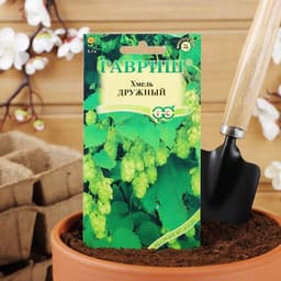 Семена Хмель «Дружный», 0.1 г, «Гавриш»