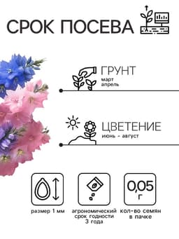 Семена цветов Дельфиниум «Махровый», 0.05 г