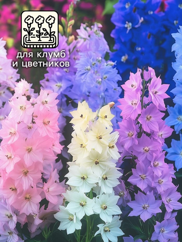 Семена цветов Дельфиниум «Махровый», 0.05 г