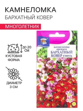 Семена цветов Камнеломка "Бархатный ковер", 0,01 г