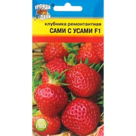 Семена Клубника «Сами с усами», F1, 5 шт., ремонтантная, «Урожай удачи»