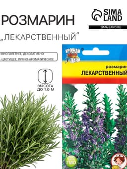Семена Розмарин «Лекарственный», 0.02 г, «Урожай Удачи»